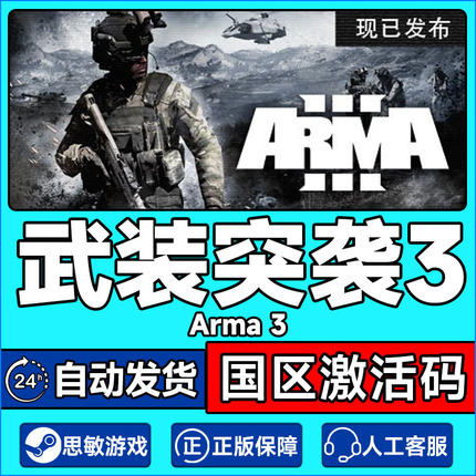 PC正版游戏Steam 武装突袭3 Arma 3 战争模拟游戏 国区激活码