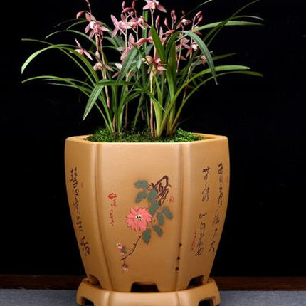 紫砂兰花专用盆手工陶瓷盆景花瓶精品绿植古典兰花君子兰家用花盆