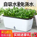 种菜神器家庭阳台种菜盆懒人花盆自动吸水长方形塑料蔬菜种植箱