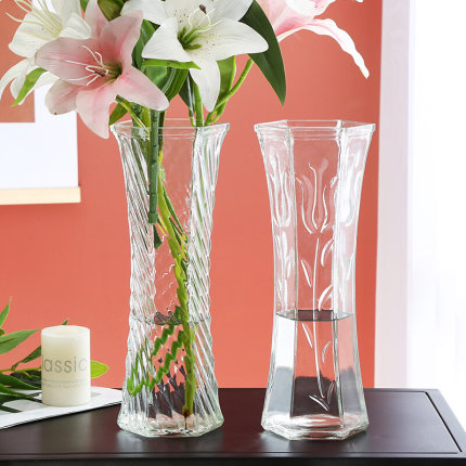 特大号玻璃花瓶透明水养富贵竹百合花瓶摆件客厅插花干花北欧家用