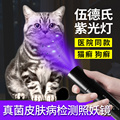 宠物医院伍德氏灯紫外线手电筒动物皮肤犬真菌检测工具猫癣藓狗癣