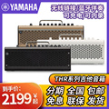 Yamaha 雅马哈 THR10 THR30 II WL 无线蓝牙民谣电吉他贝司音箱