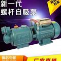 家用自吸泵高扬程无塔供水泵单相自吸抽水泵大功率工程增压泵螺杆