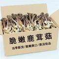 鹿茸菇新货500g香菇类干货营养菌菇鹿茸菌非特级野生煲汤食材蘑菇
