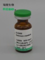 标准品 人参皂苷Rg3（S型） 20mg REBIO R139978  包邮