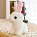 仿真可爱毛绒玩具兔子小白兔治愈系玩偶公仔儿童生日礼物布娃娃女