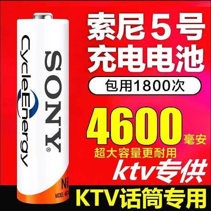 号充电电池充电电池充电玩具车4600毫安5话筒号KTV7日本索尼进口