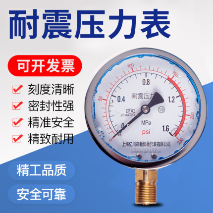 耐振YN100耐震压力表0-0.6/1/1.6/2.5/MPA抗震防震动进油压力表