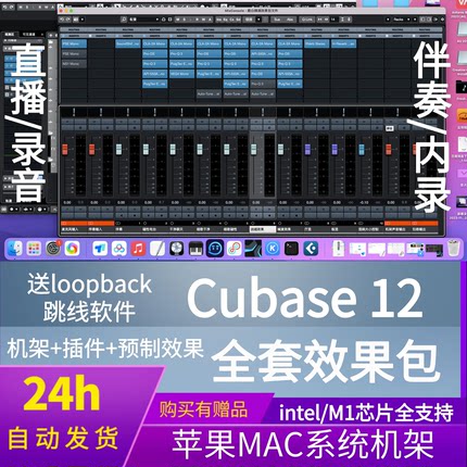 苹果MAC Cubase12 Pro效果包机架远程安装直播录音loopback精调