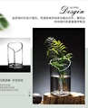 花瓶玻璃富贵竹水培植物玻璃 养花花瓶插花容器绿萝花盆器皿摆件