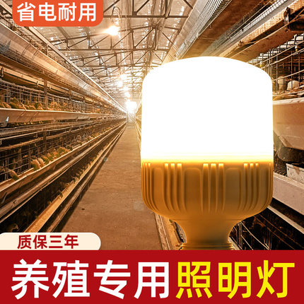 养殖用蛋鸡养殖专用节能灯泡养鸡场照明LED肉鸡防水灯暖光E27超亮