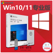 正版win11专业版系统u盘重装Windows10家庭中文版升级Pro纯净指导