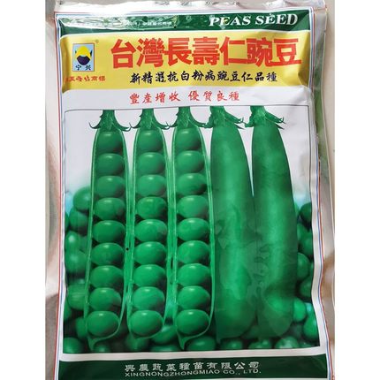 台湾长寿仁豌豆种籽高产抗病春秋播耐寒大田甜豌豆种嫩宝豌豆种
