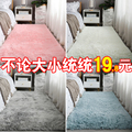 地毯卧室床边毯客厅满铺大面积毛毯垫子家用少女房间宿舍民宿地垫