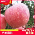 山西丑苹果黄土高坡苹果新鲜水果5斤/6斤红富士冰糖心果园自然