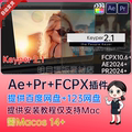 AE/PR/FCPX插件Keyper 2.1一键快速AI抠像视频抠人主体与背景分离