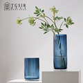 简约直筒竖纹蓝色透明水养玻璃花瓶摆件客厅桌面装饰绿植百合插花