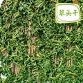 上海苏州特产草头干1斤金花菜新鲜农家蔬菜秧草干苜蓿干野菜包邮