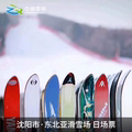 [东北亚滑雪场-滑雪门票]沈阳东北亚滑雪场门票 雪具