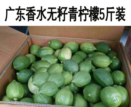 广东香水柠檬无籽新鲜水果应季青柠檬5斤包邮一级果整箱包邮