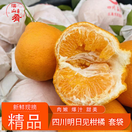 正宗四川明日见橘子柑橘新贵嫩甜多汁当季时水果令产地直供