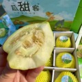 北京闪送 一箱5斤  9粒瓜 瓜甜客·马连庄甜瓜 蜜瓜 瓜皮脆薄果