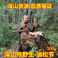 （老猎人）纯野生油松节仙鹤草中药材 纯天然老松木节正品 松榔头