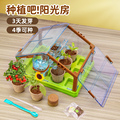儿童阳光房种植花房种菜玩具植物观察盒DIY科学实验套装生日礼物
