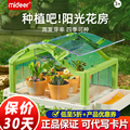 mideer弥鹿攀爬桶吨吨种植阳光房儿童套装种菜植物生长观察盒玩具