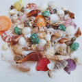 纯天然小海螺贝壳组合套装儿童玩具 鱼缸装饰幼儿园手工材料 包邮