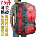 75升超大容量双肩包男女户外65升登山包旅行旅游特大背包行李包袋