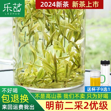 2024年新茶-乐茁安吉白茶2优-明前二采特级正宗珍稀高山绿茶125g