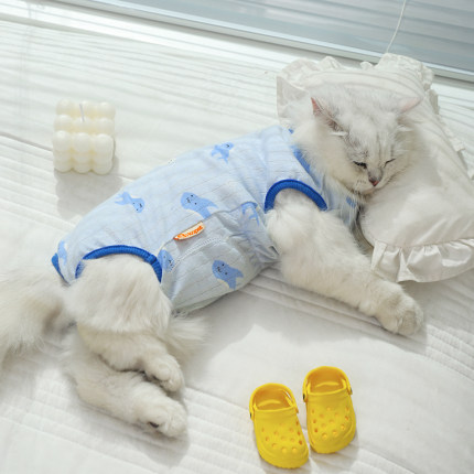 猫咪衣服防掉毛夏季薄款的布偶猫小猫宠物幼猫断奶猫猫夏天护肚衣