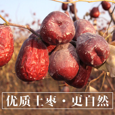 西北小院新疆红枣吊干带土大枣即食六星和田玉枣5斤