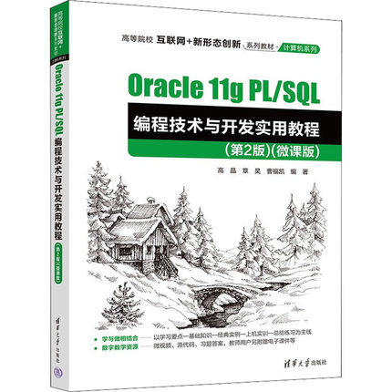 Oracle 11g PL/SQL编程技术与开发实用教程：微课版