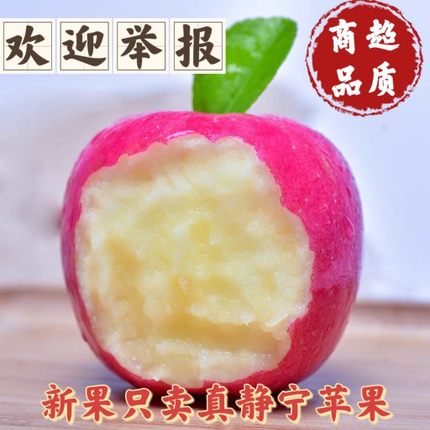 甘肃静宁苹果应季新鲜水果10斤脆甜红富士新疆西藏海南包邮整箱