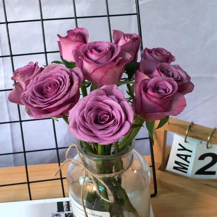 冷美人深紫玫瑰一扎20支鲜花速递同城办公室水养云南昆明基地直发