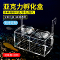 鱼缸隔离盒孔雀鱼繁殖盒透明亚克力孵化盒乌龟小热带鱼苗幼鱼产房