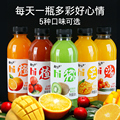 360ml六瓶 果味饮料甜橙/芒果/猕猴桃/沙棘汁果汁饮品特价批发