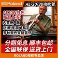 Roland罗兰电吹管乐器AE20中老年人娱乐初学AE30电子萨克斯葫芦丝