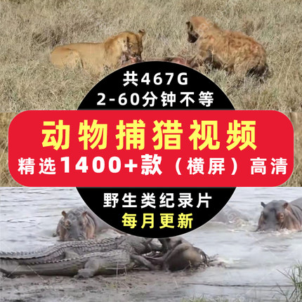 动物捕猎打斗厮杀动物世界素材纪录片合集高清剪辑短视频素材