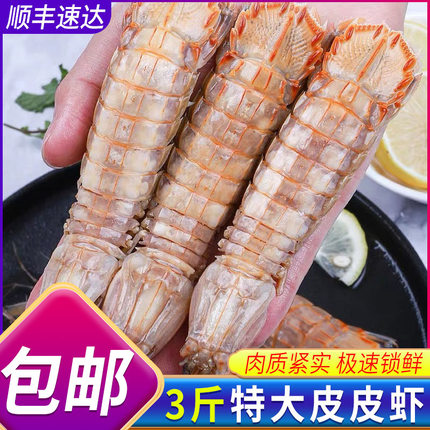 皮皮虾鲜活熟冻特大虾爬子海鲜海虾新鲜蒸熟皮皮虾海鲜水产