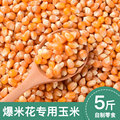 爆米花专用玉米粒