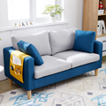 定制新款双人沙发小户型客厅简约卧室北欧经济型15米小型简易迷你