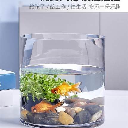 创意客厅金鱼缸玻璃水族箱小型生态圆形圆柱大号乌龟缸造景培装饰