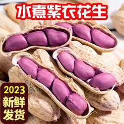 【250g仅7.9】龙岩湿烤花生紫衣农家咸酥坚果追剧解馋零食整箱