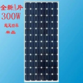 全新A级300瓦单晶太阳能电池板300w太阳板 24V-36V