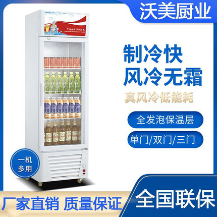 商用饮料柜冷藏冷冻保鲜展示柜超市啤酒柜便利店大容量立式冰箱