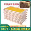 八千巢础中蜂成品带框巢框蜂箱养蜜蜂箱工具巢基中蜂意蜂杉木标准