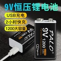 星威9v充电电池USB可充锂电万用表体温枪方块电池恒压仪器吉他1200毫安